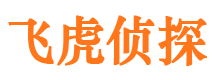 云溪侦探公司